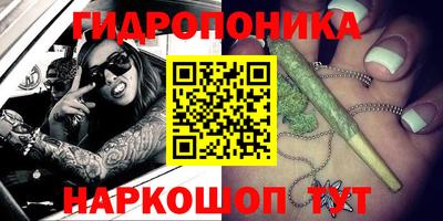 индика Комсомольск-на-Амуре