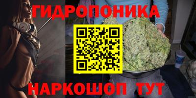 амф Коммунар