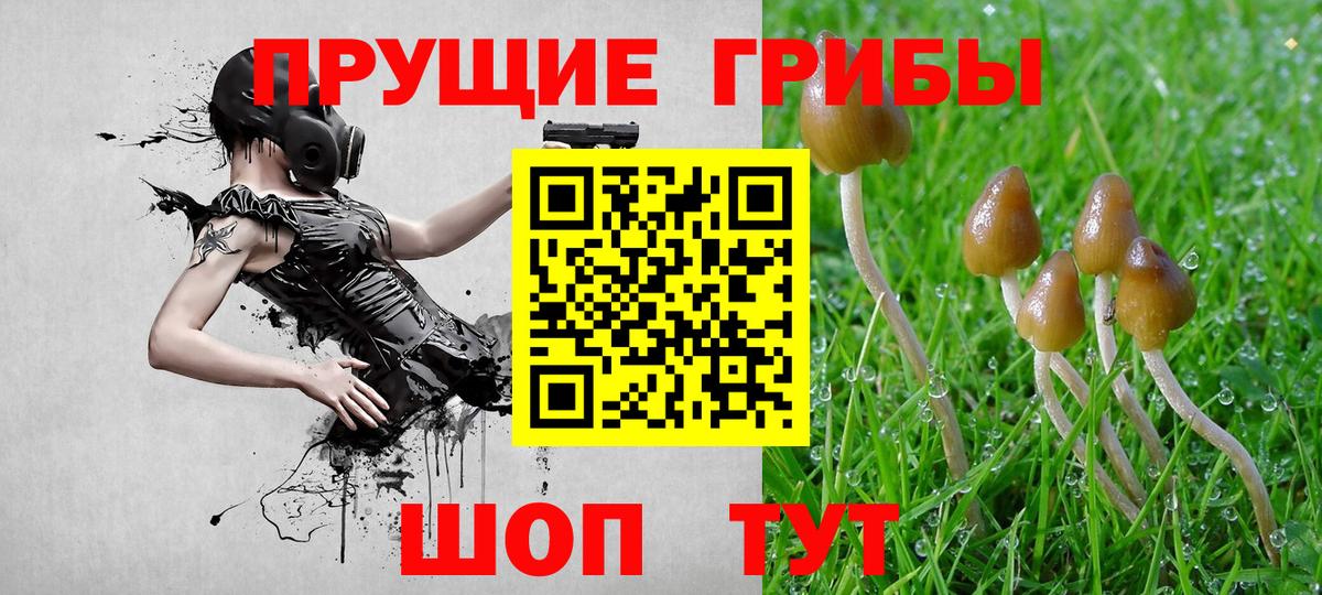 Карталы  Псилоцибиновые грибы Magic Shrooms  Вход с VPN  Галлюциногенные грибы мухоморы 